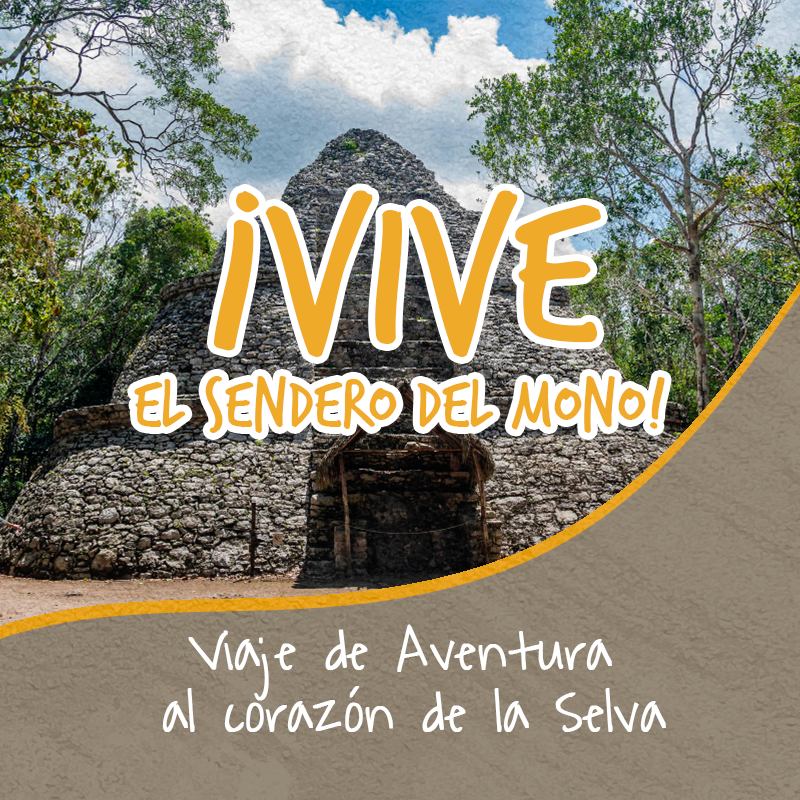 Catalogo Coba